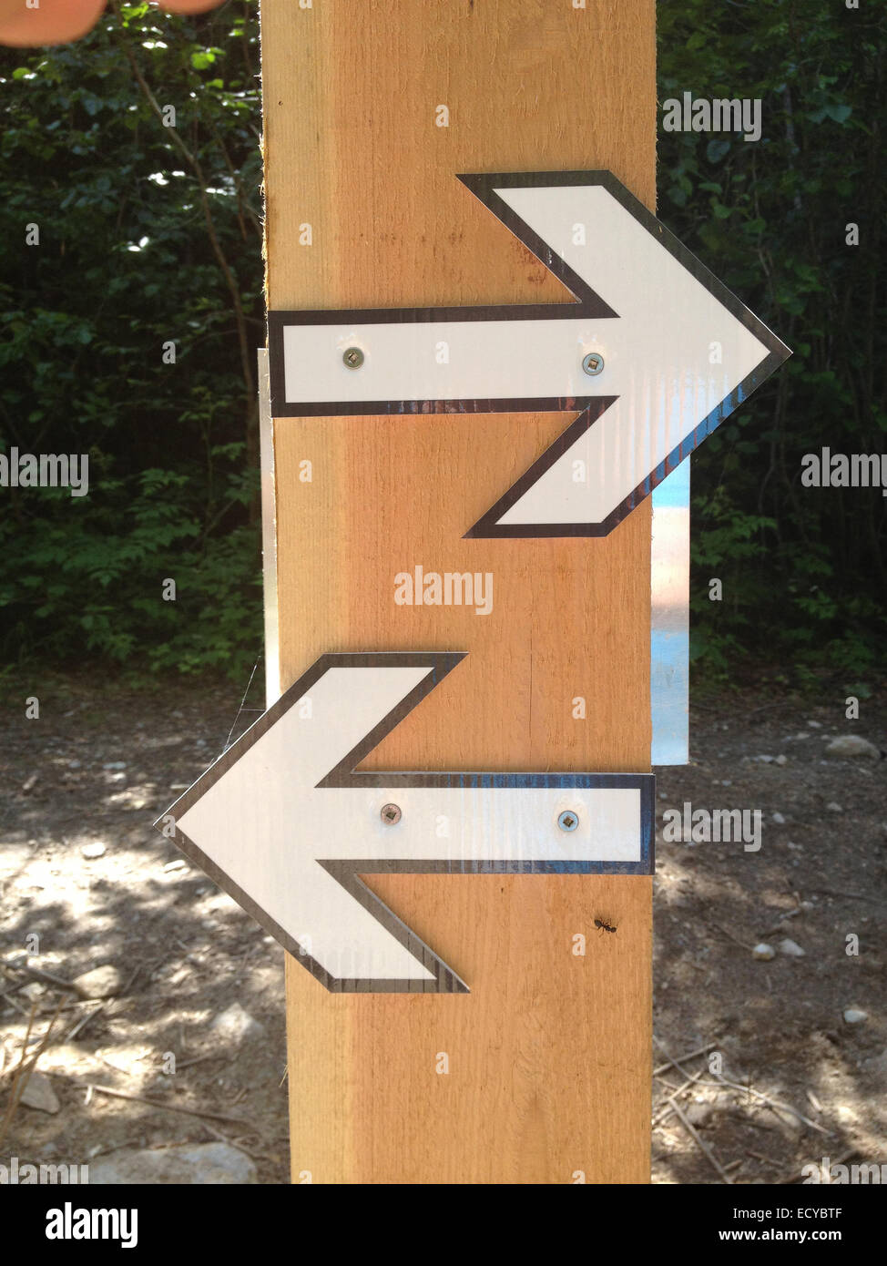 Arrows screwed to wooden post on dirt road - Smartphone Captured Stock Image