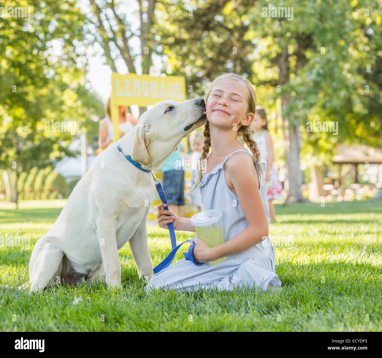 Pet dog licking face of Caucasian girl on grassy lawn Stock Photo