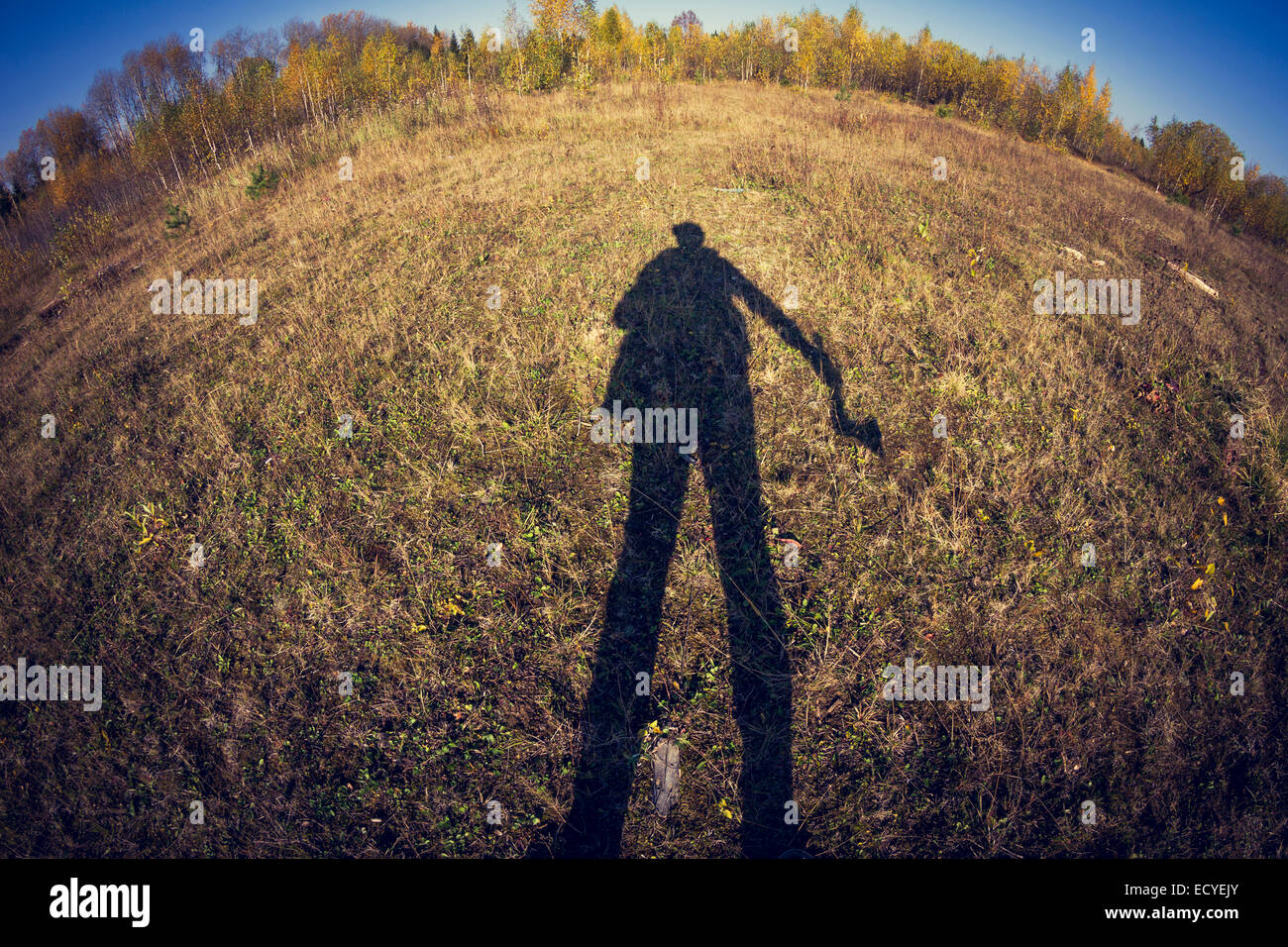Fish-eye lens view of shadow of man in field Stock Photo
