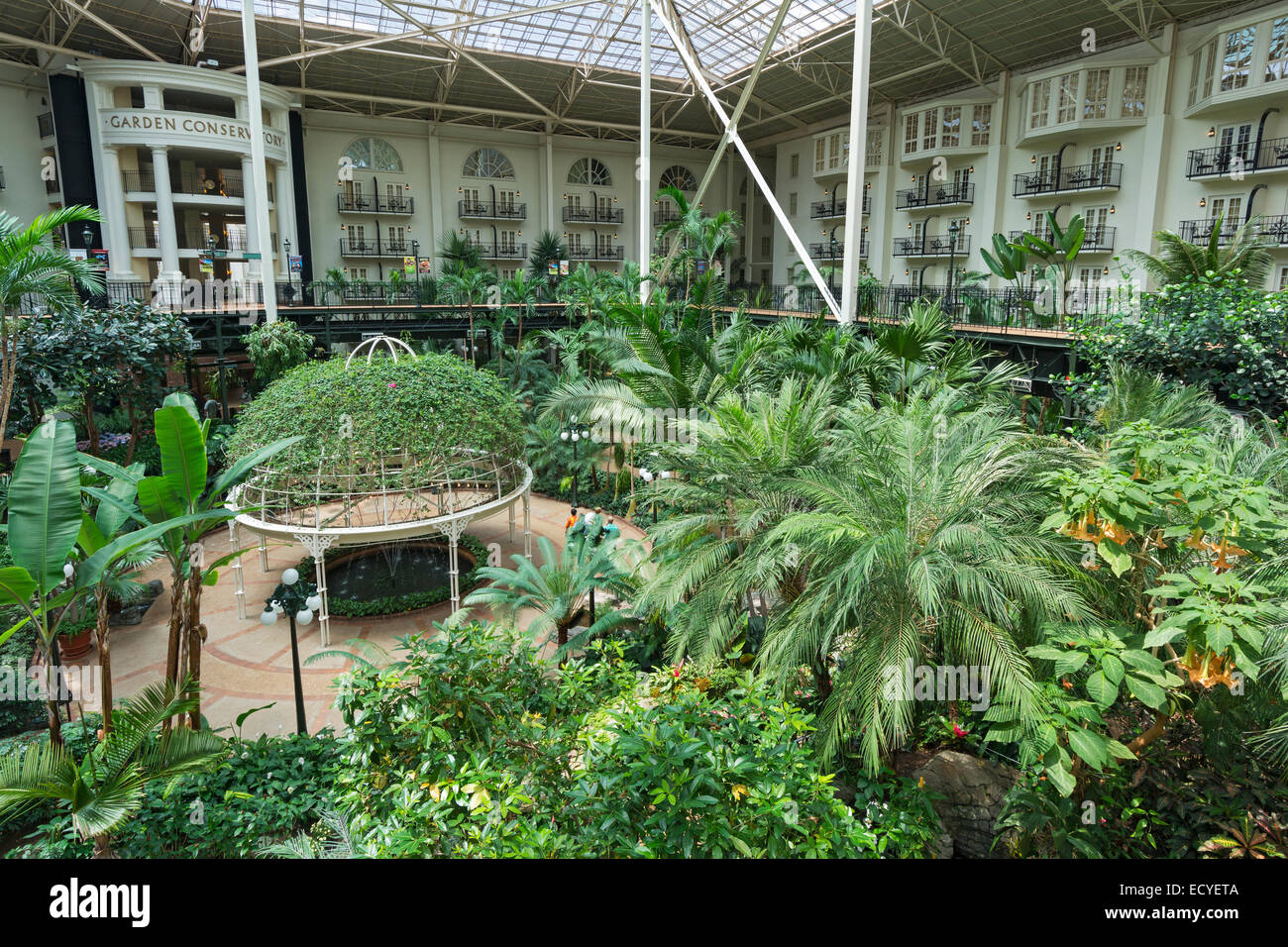 Tennessee, Nashville, Gaylord Opryland Resort Hotel, Garden Conservatory Atrium Stock Photo Alamy