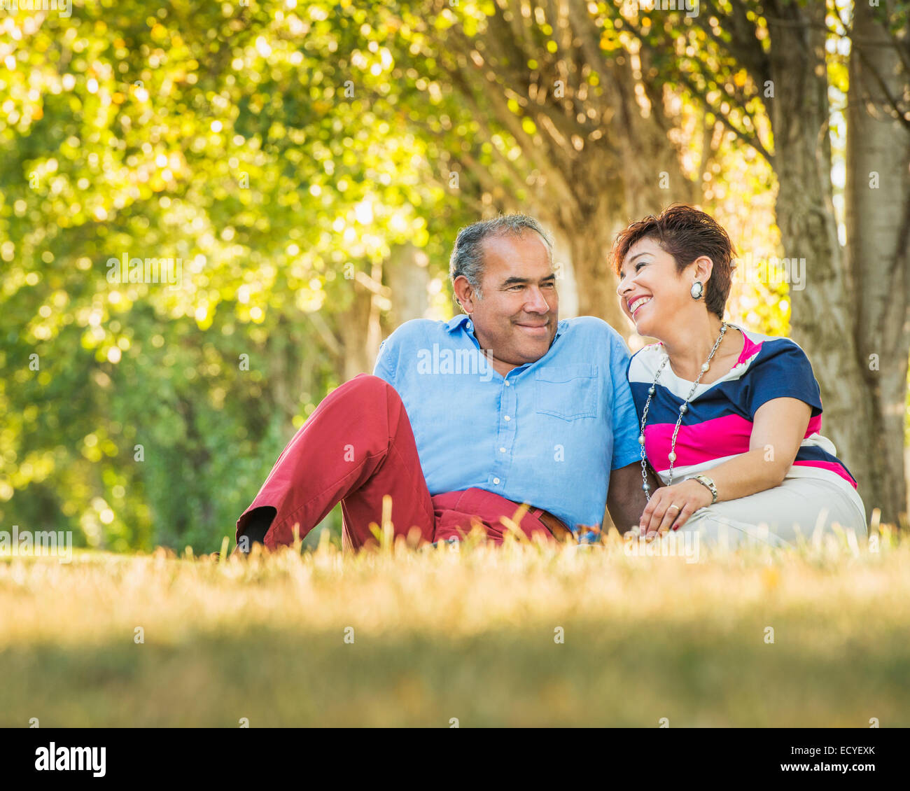 Older Hispanic couple sitting in grassy field Stock Photo Alamy