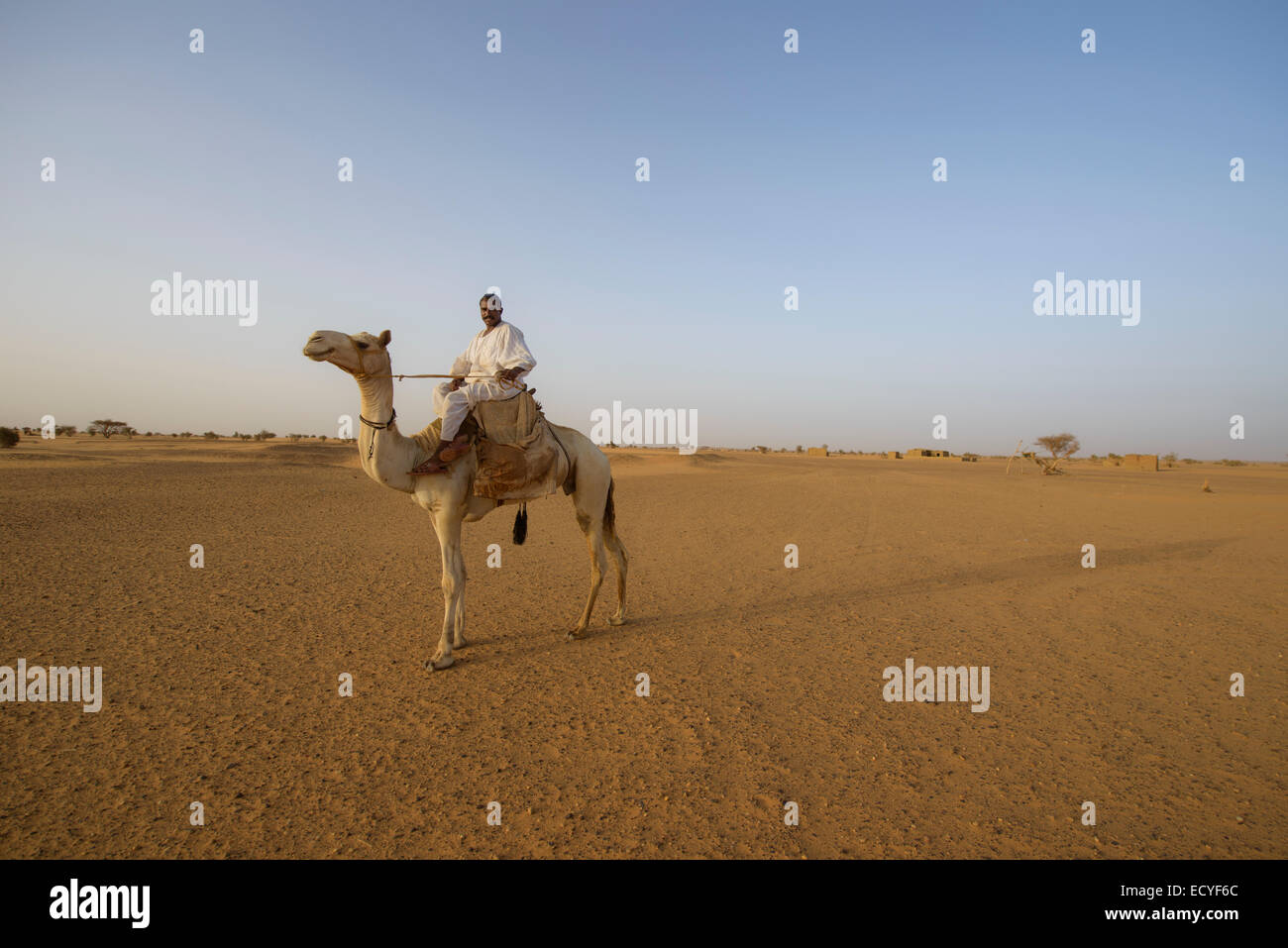 Camel herders of the Sahara desert, Sudan Stock Photo