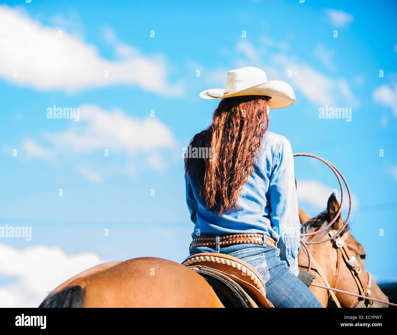 Caucasian cowgirl riding horse in rodeo outdoors Stock Photo
