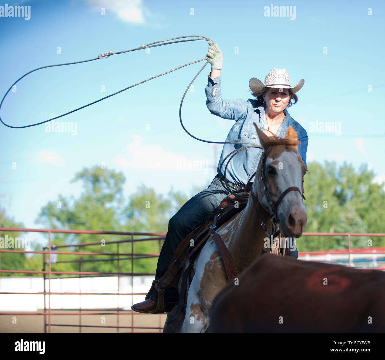 Cowgirl horse lasso hi-res stock photography and images - Alamy