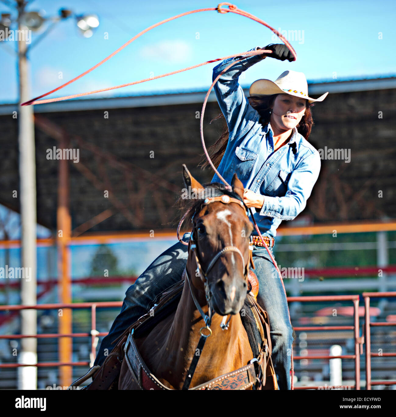 Lasso swinging hi-res stock photography and images - Alamy