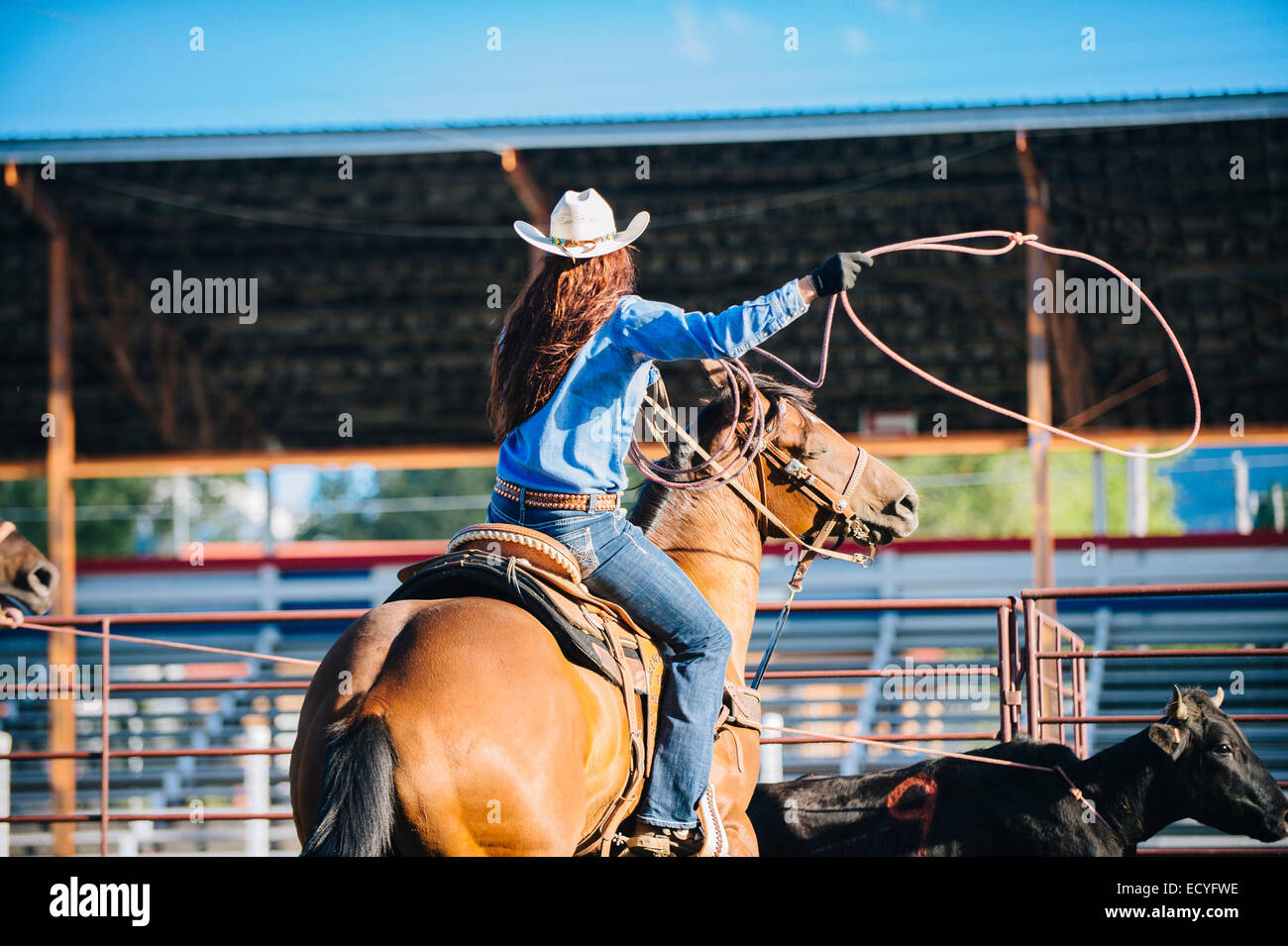 Caucasian cowgirl on horse throwing lasso in rodeo on ranch Stock Photo