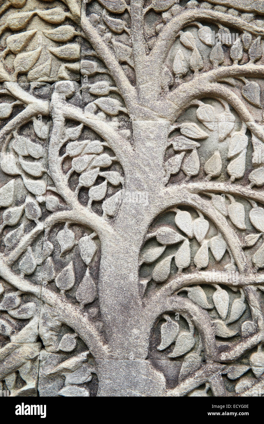 Angkor Wat sculptural relief in stone of ancient stylized bodi tree
