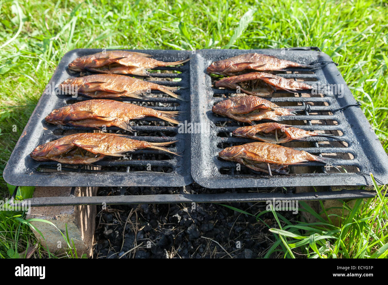 Homemade smoked fresh fish on the outdoors Stock Photo Alamy