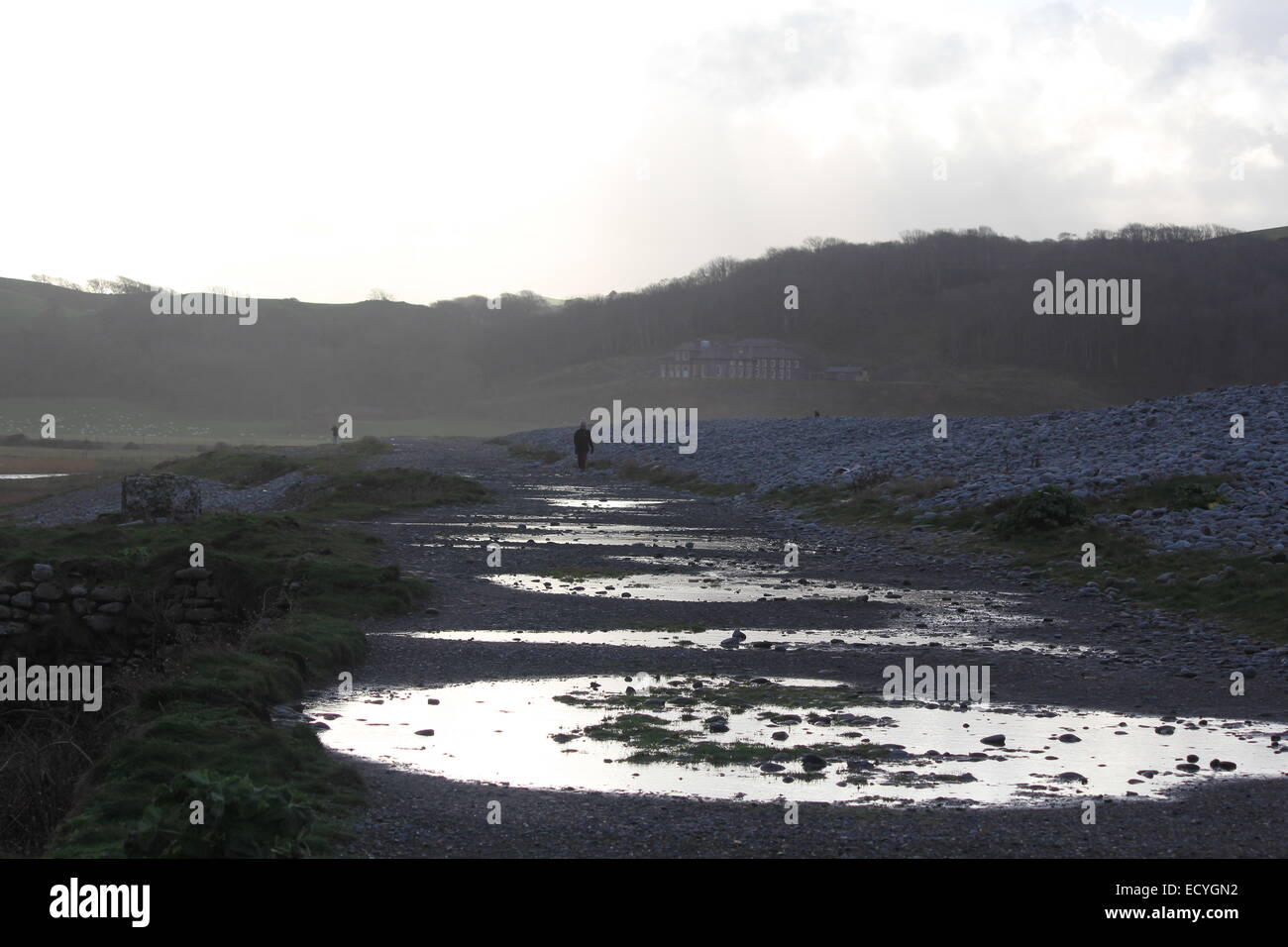 Aberystwyth Wales, Dog walkers enjoy a stroll on a typical  Welsh winters day. Stock Photo