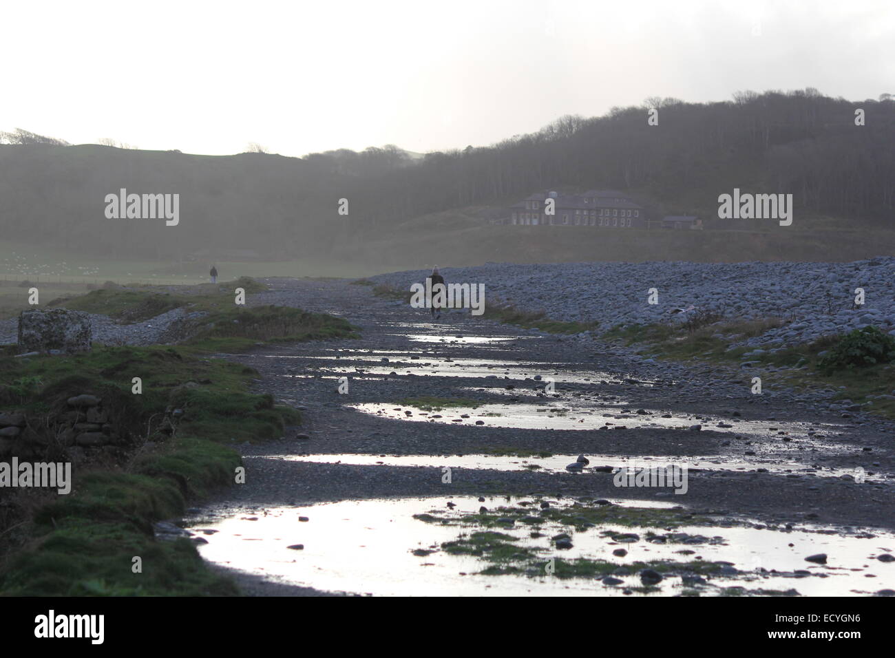 Aberystwyth Wales, Dog walkers enjoy a stroll on a typical Welsh winters day. Stock Photo