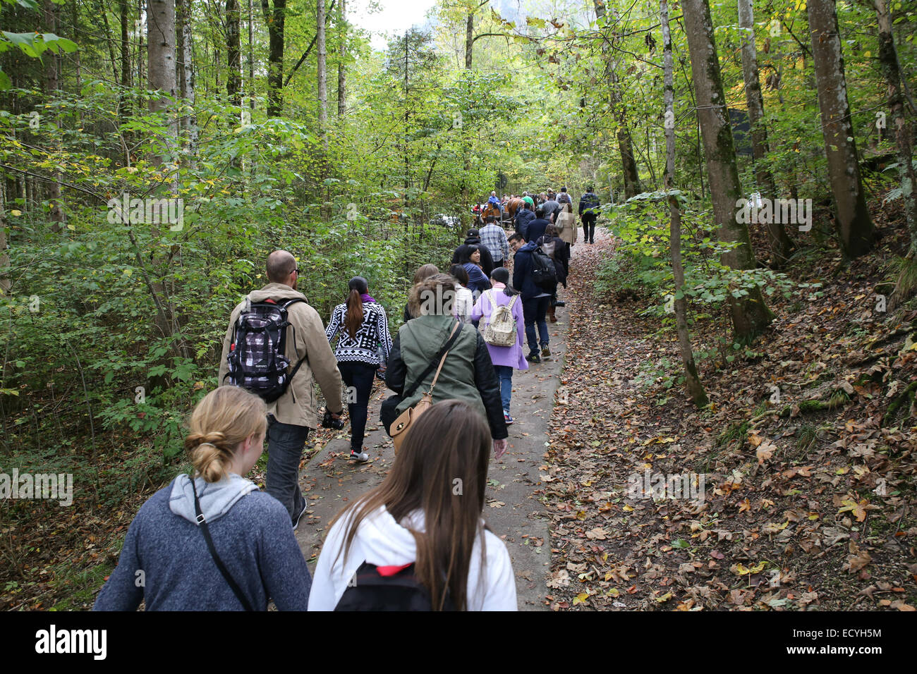 Hiking group hi-res stock photography and images - Alamy