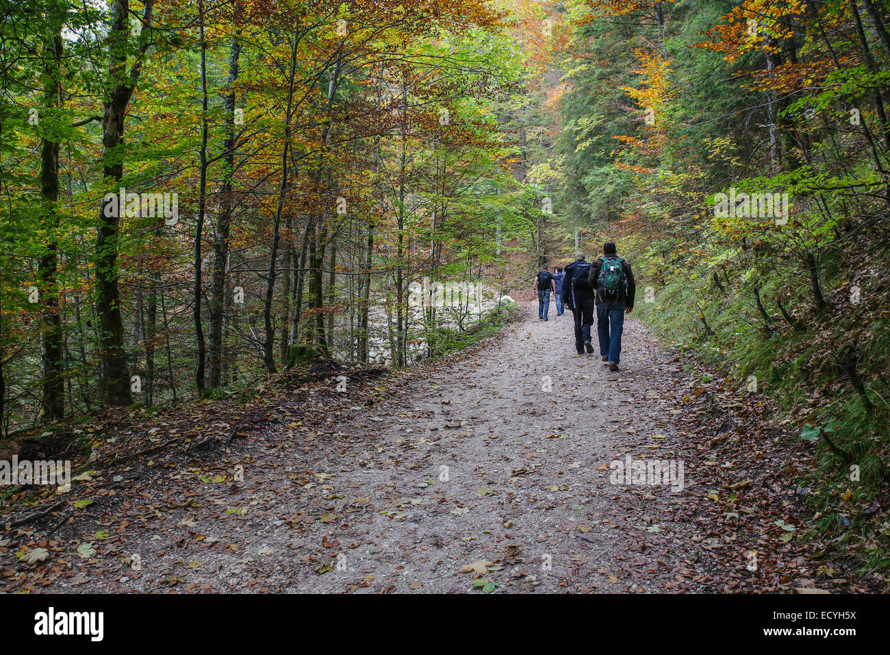 hikers walking hiking trail people outdoor activity exercise lifestyle Stock Photo