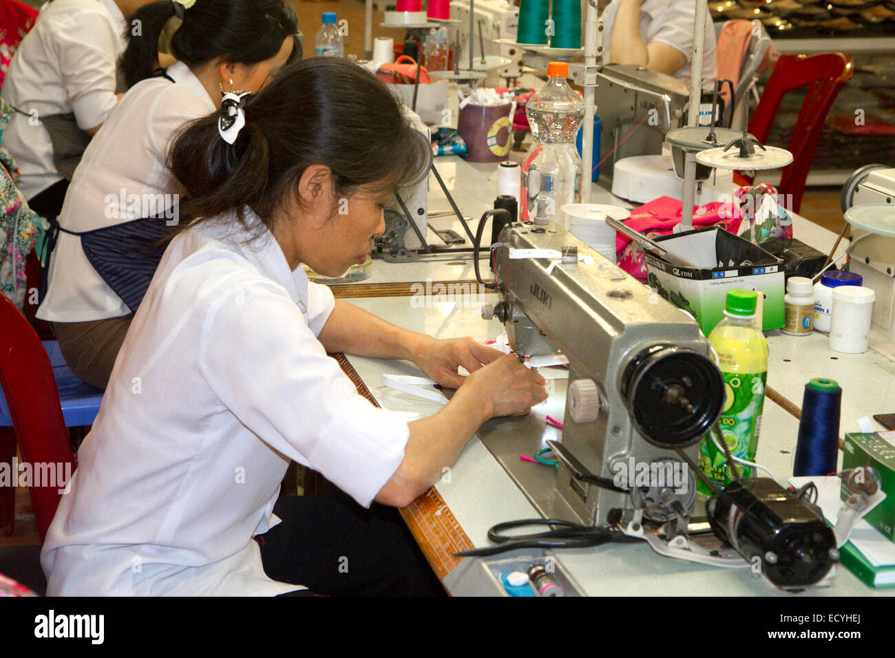 Workers using sewing machines at a clothing factory in Hanoi, Vietnam. Stock Photo