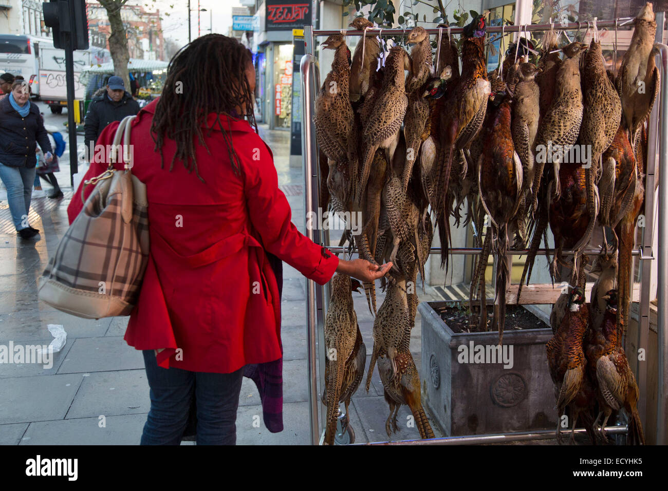 Woman checking the qulaity of pheasants hanging up outside a traditional British butchers shop on Bethnal Green Road, London, UK Stock Photo