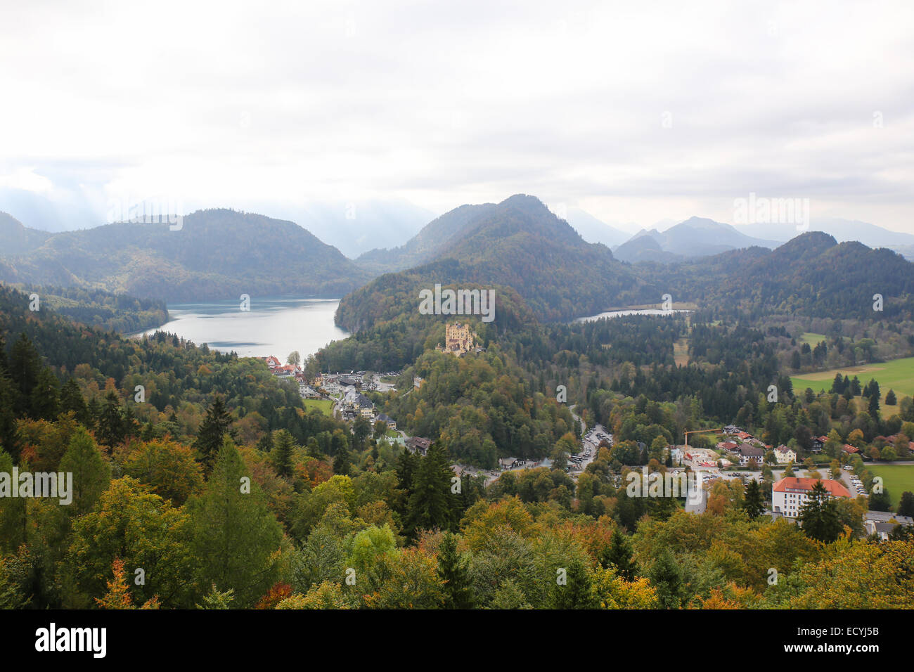 nature mountain trees forest Neuschwanstein Castle view Stock Photo