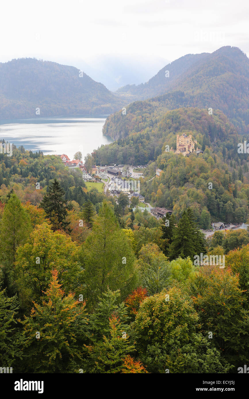 forest nature Hohenschwangau Germany Stock Photo