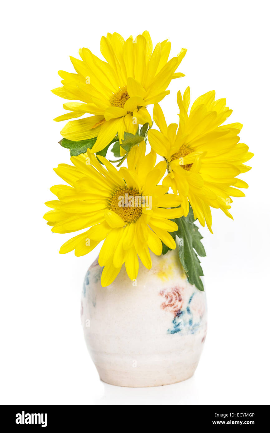 Yellow mums as cut flowers in a small pottery vase Stock Photo Alamy