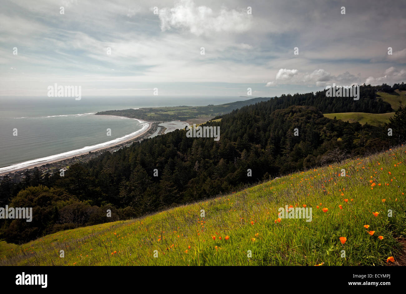 Bolinas bay hires stock photography and images Alamy