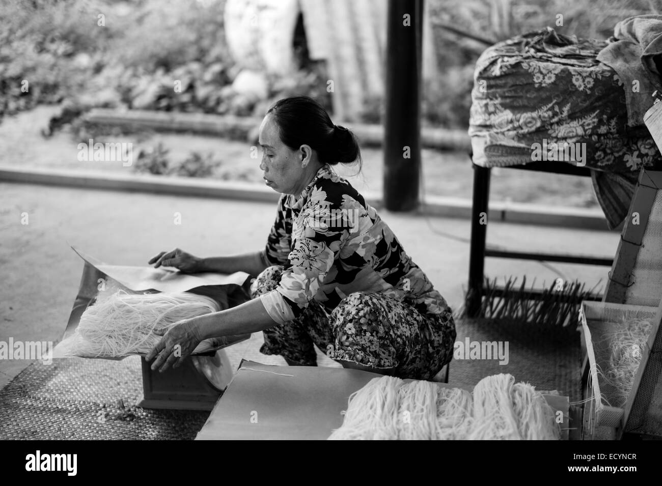 Vietnamese woman packing rice noodles in the small home factory that her family runs making rice paper and noodles in the Mekong Delta of Vietnam. Stock Photo