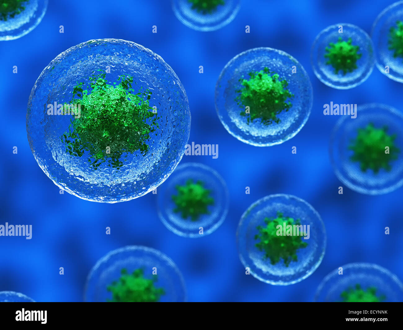 3d render of bacteria virus cell 3d  concept background Stock Photo