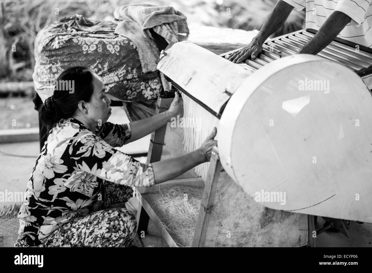 Vietnamese woman using a cutting machine to make rice noodles from the rice paper that her husband is loading from the top in her family's home factory in the Mekong Delta. Stock Photo