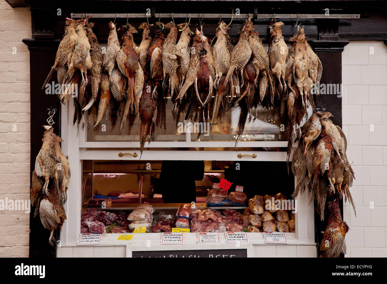 Traditional butchers shop front with game and pheasants hanging up on display, Ludlow, Shropshire UK Stock Photo