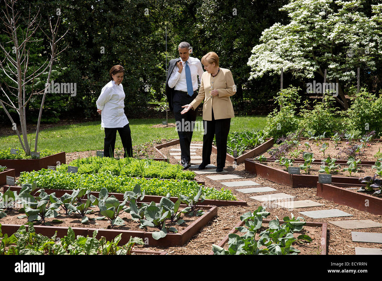 President Barack Obama and Chancellor Angela Merkel of Germany tour the White House Kitchen Garden on the South Lawn with Executive Chef Cris Comerford, May 2, 2014. Stock Photo