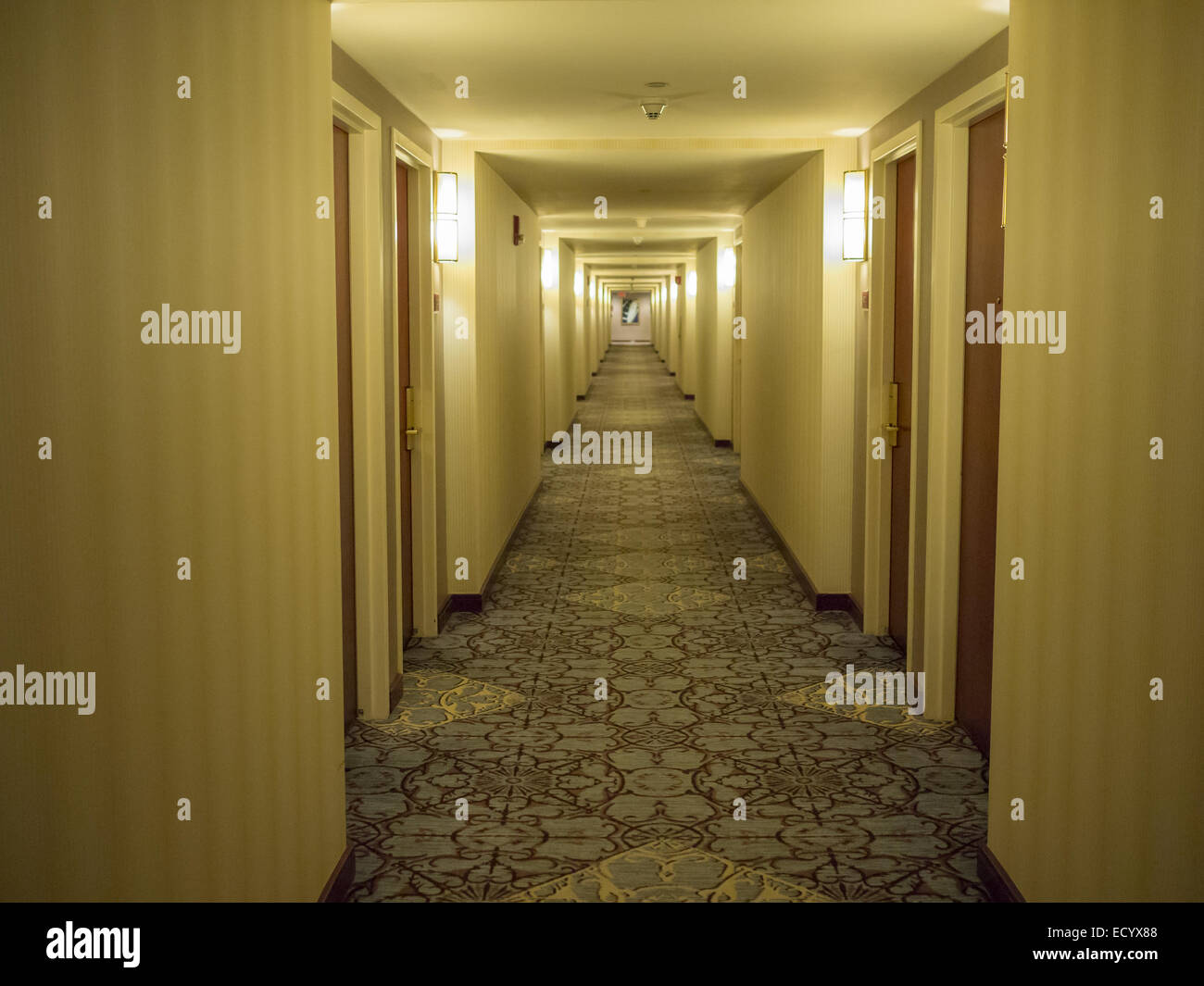 Hilton hotel hallway Stock Photo