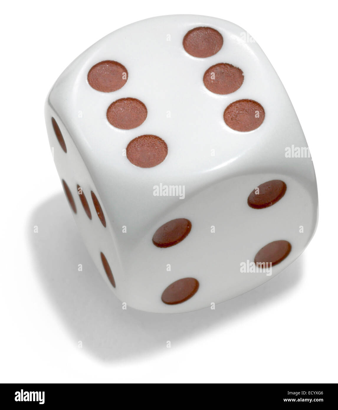 brown and white dice Stock Photo