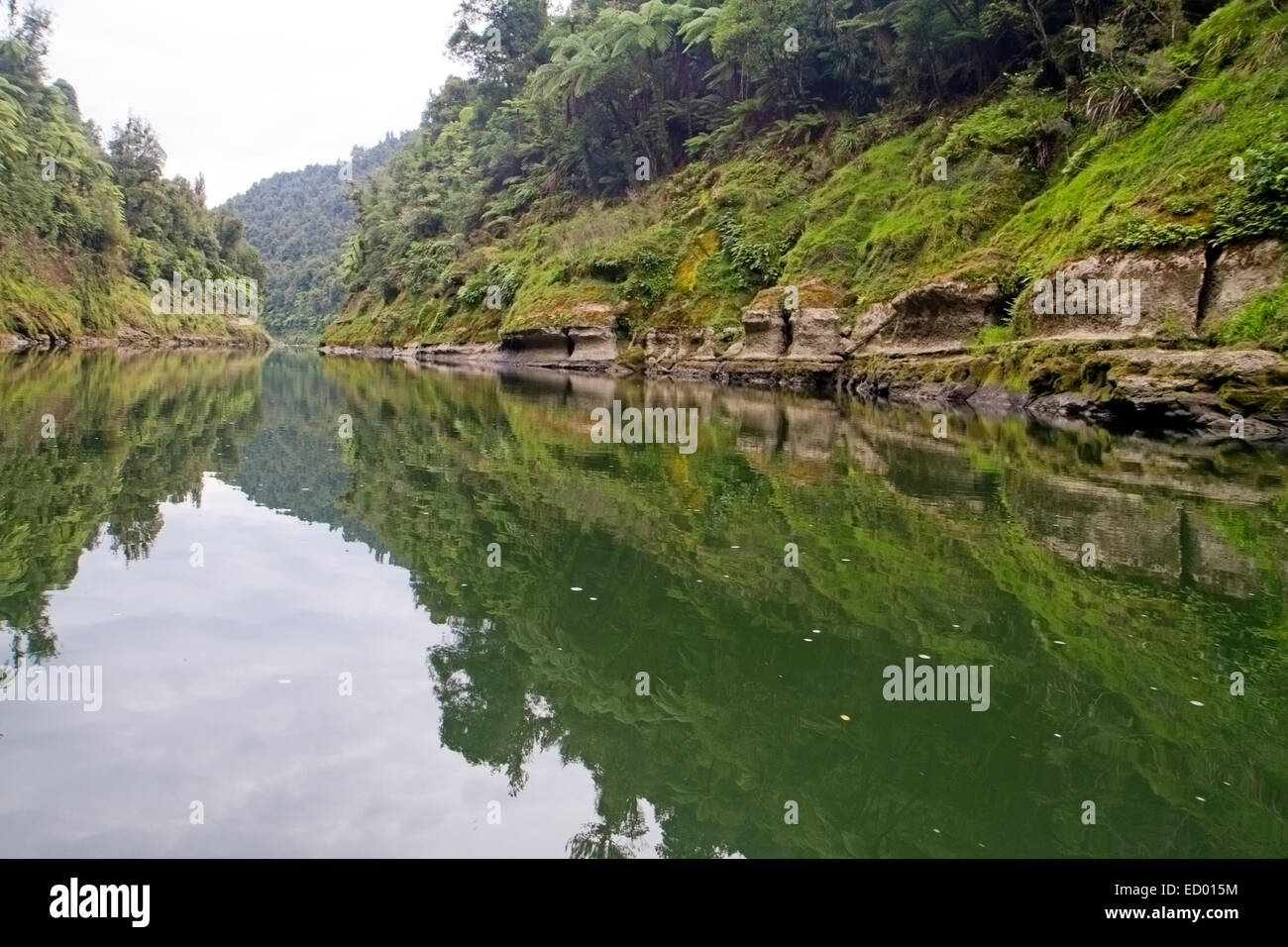 Reflections on the Whanganui River. Stock Photo
