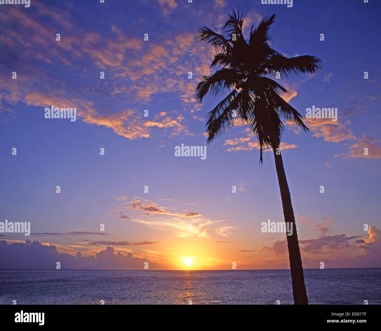 Tropical sunset, Darkwood Beach, Saint Mary’s Parish, Antigua, Antigua and Barbuda, Lesser Antilles, Caribbean Stock Photo