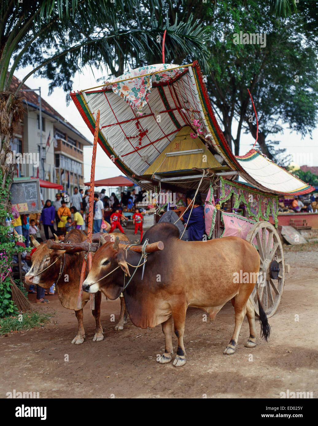 Traditional bullock cart, Central Malacca District, Malacca (Melaka) City, Malacca State, Malaysia Stock Photo