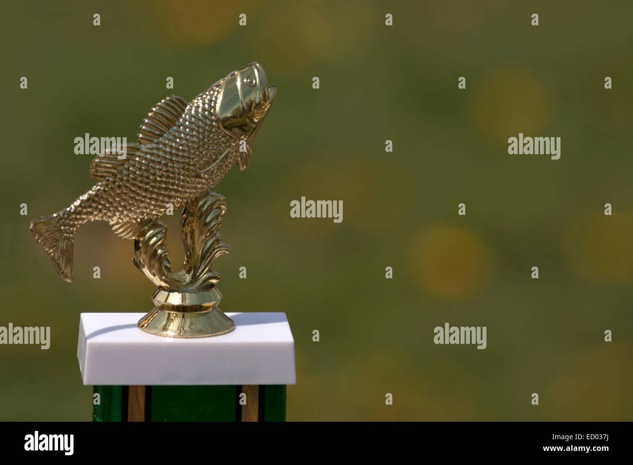 Fishing Derby competition fishing trophy award Stock Photo Alamy