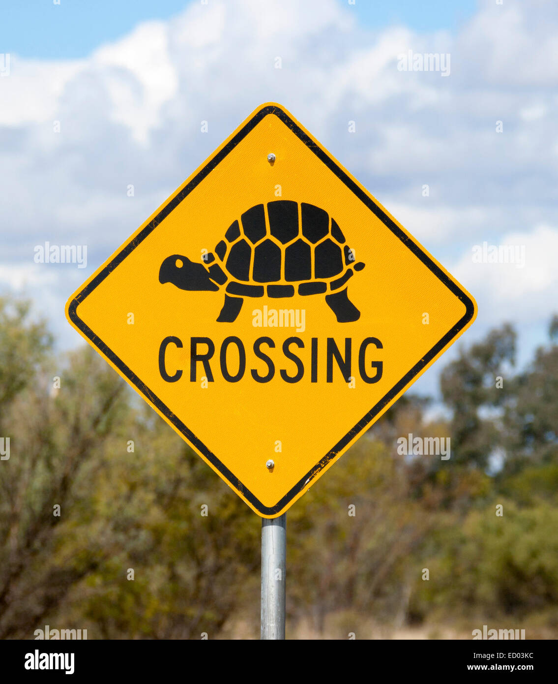 Unusual road sign in Australian outback, yellow background with black design & text warning of tortoises / turtles crossing road Stock Photo