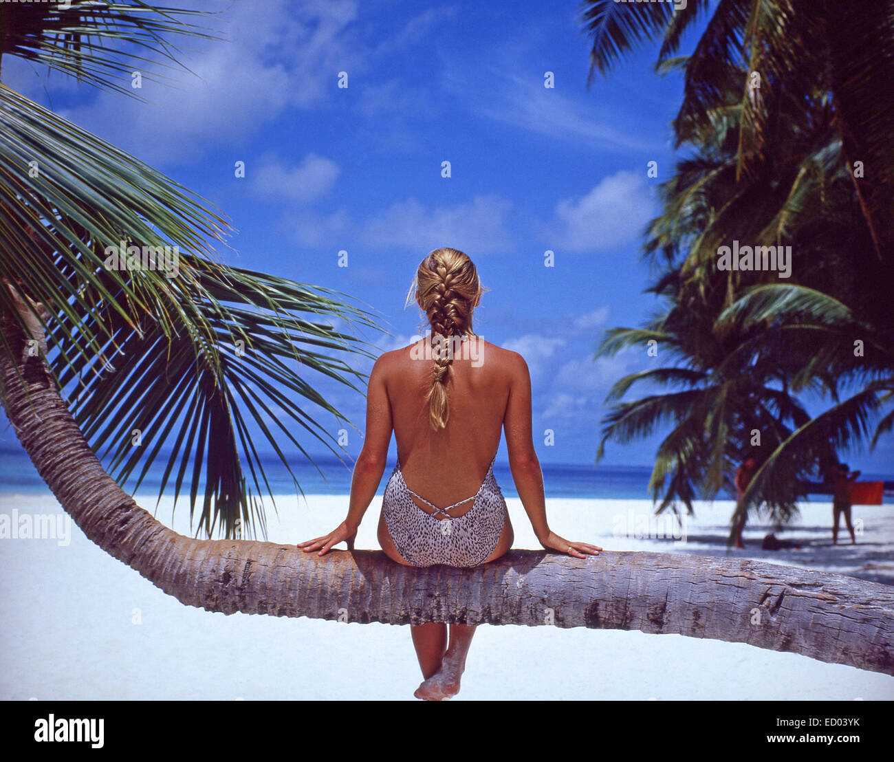 Young woman sitting on palm tree, Kuda Bandos, Bandos Island, Kaafu Atoll, Republic of Maldives Stock Photo