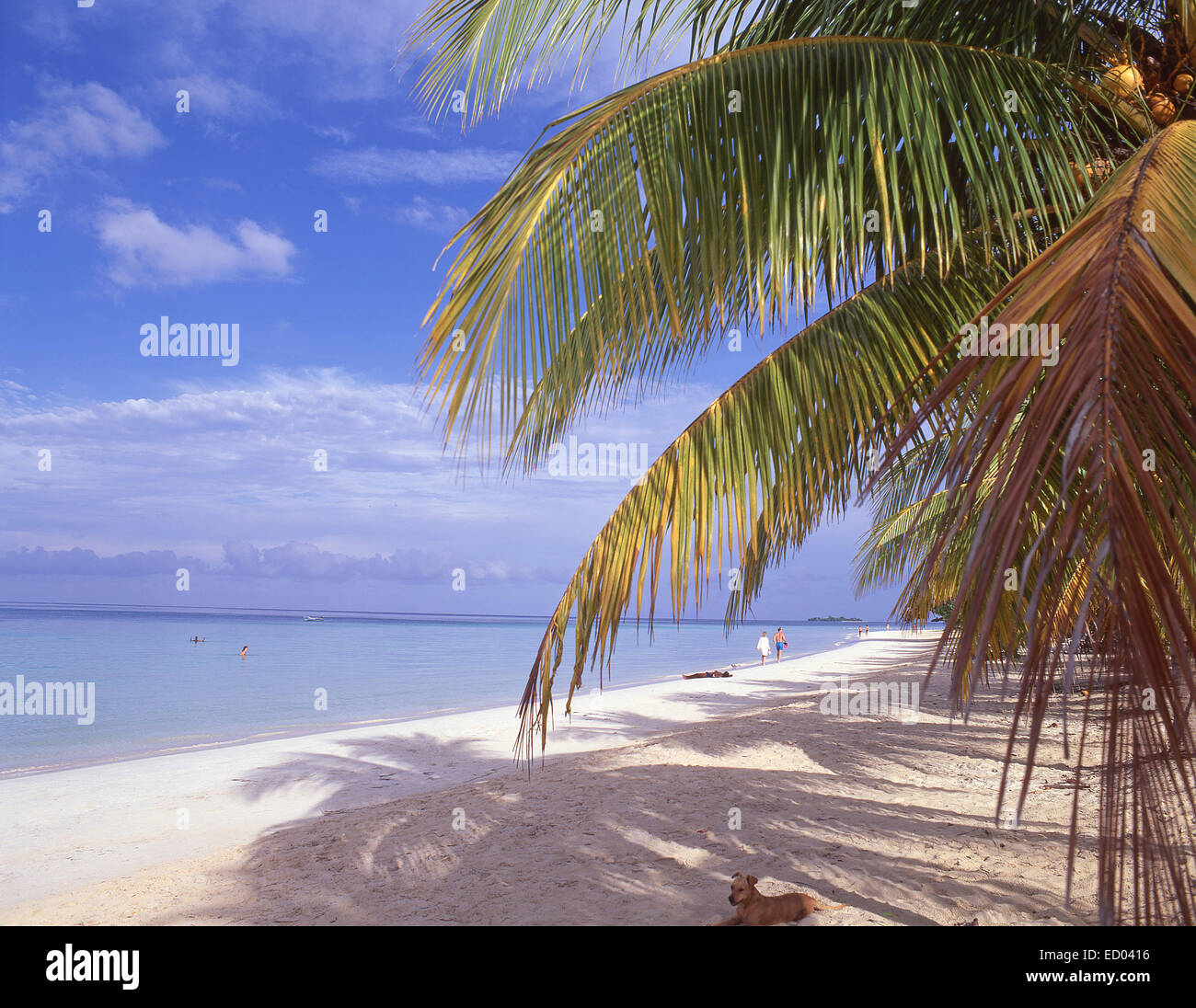 Negril Beach, Negril, Westmoreland Parish, Jamaica, Greater Antilles, Caribbean Stock Photo