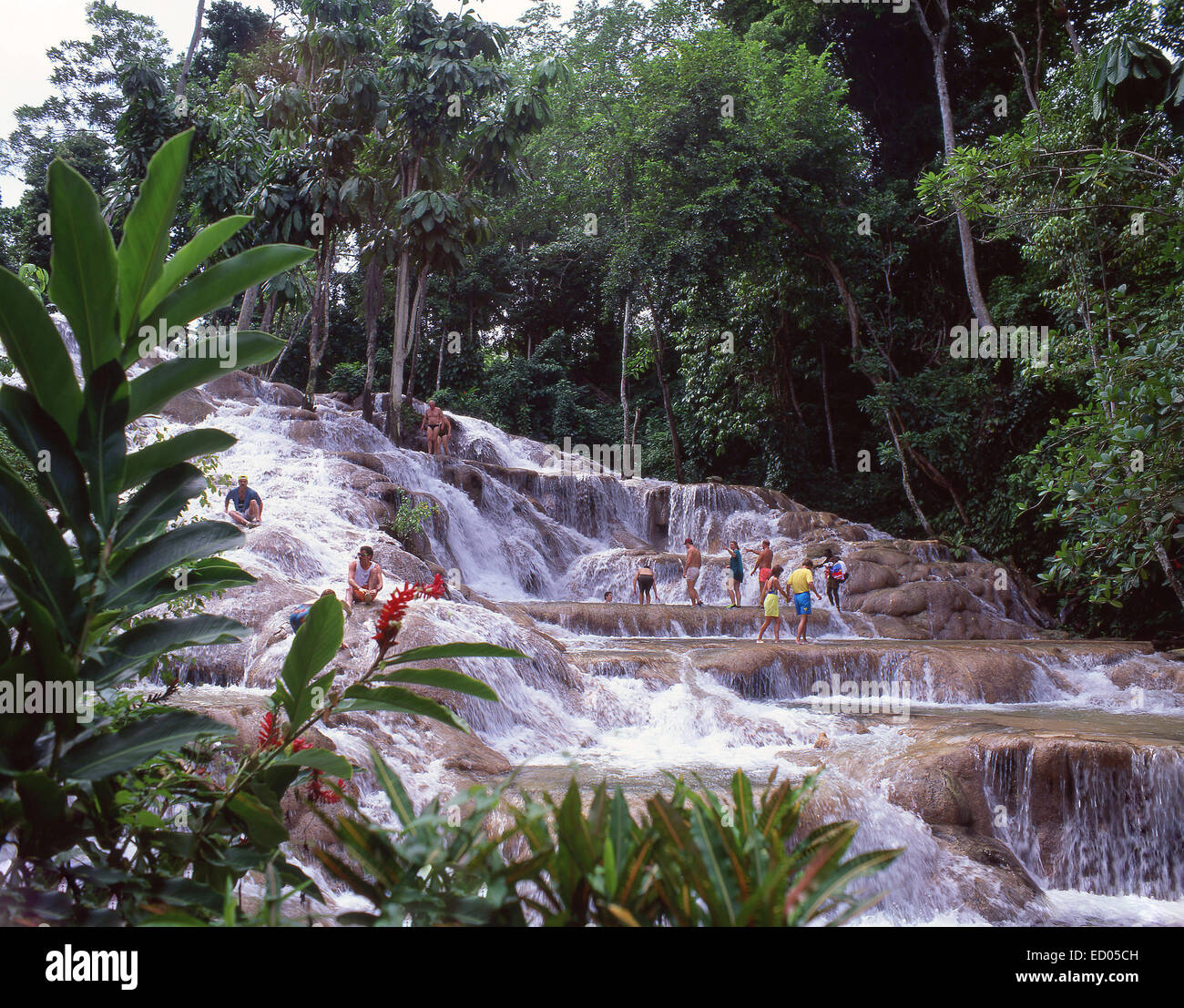 Dunn's River Falls, Ocho Ríos, Saint Ann Parish, Jamaica, Greater Antilles, Caribbean Stock Photo