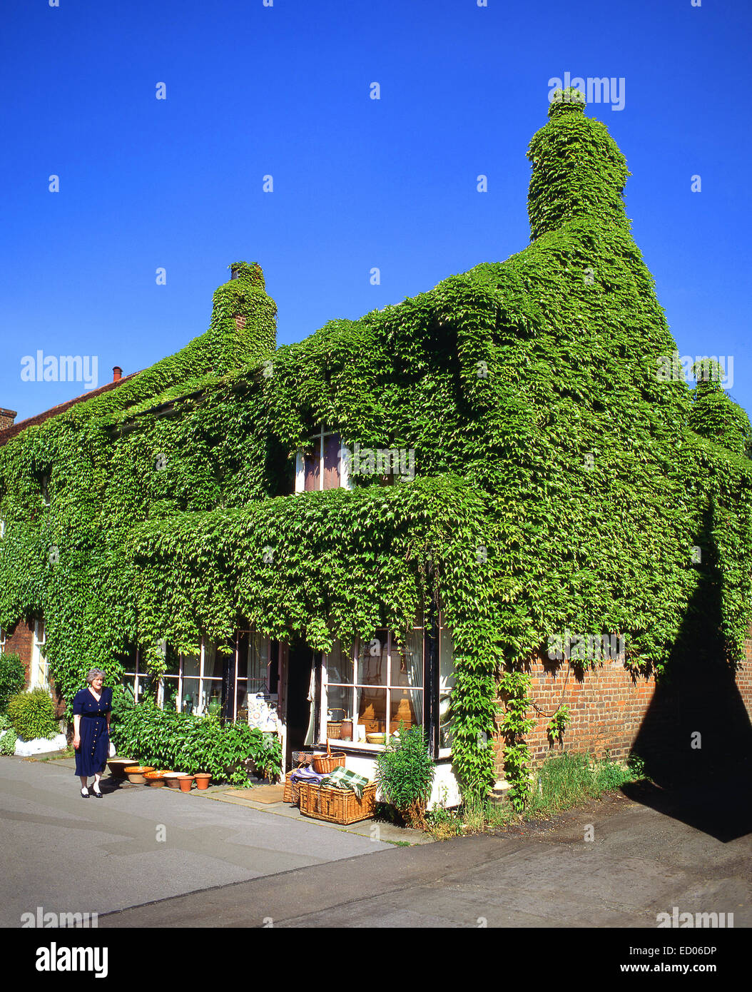 House covered in ivy, Wycombe End, Old Beaconsfield, Buckinghamshire, England, United Kingdom Stock Photo