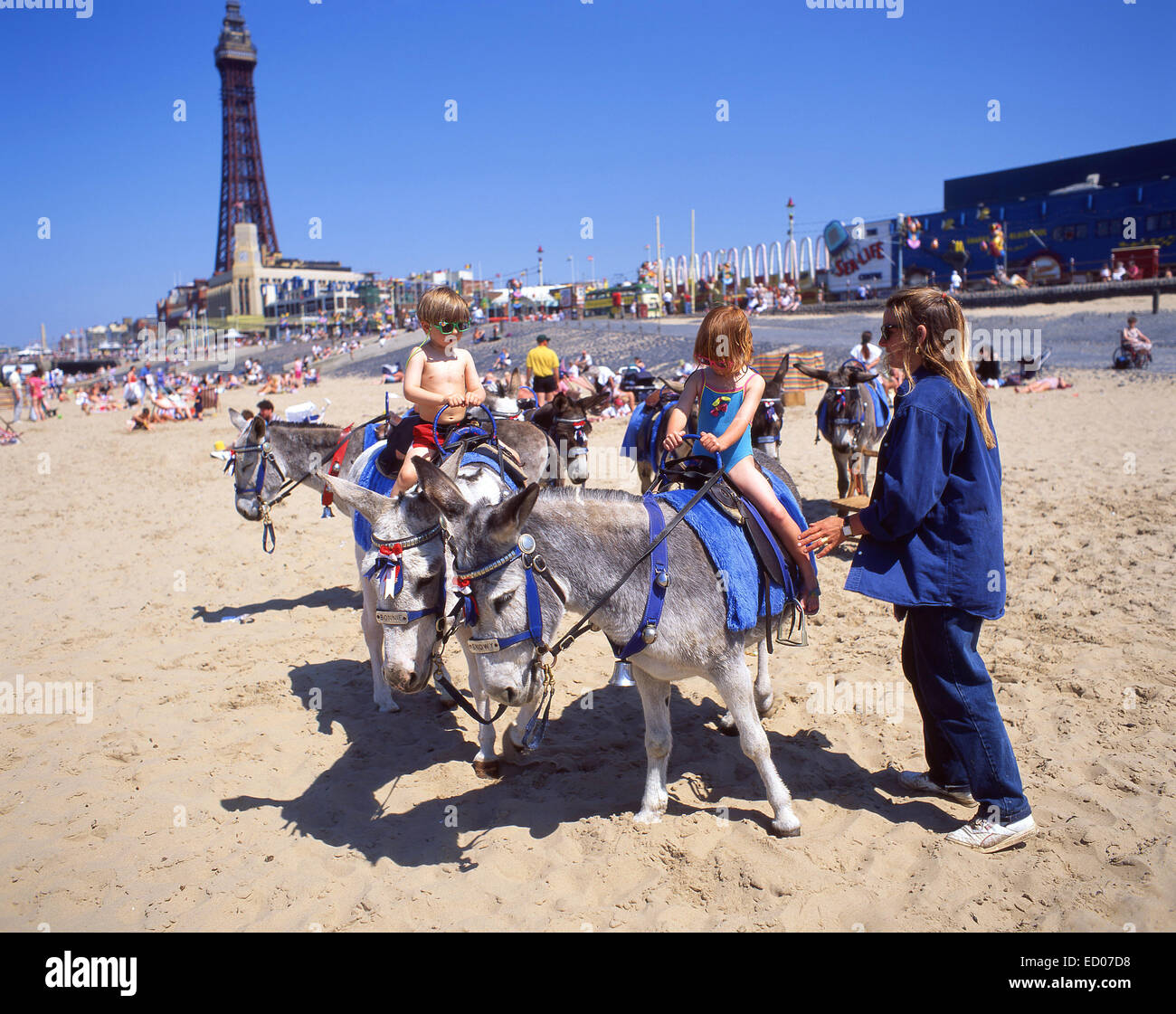 Donkey rides on Blackpool Sands, Blackpool, Lancashire, England, United Kingdom Stock Photo