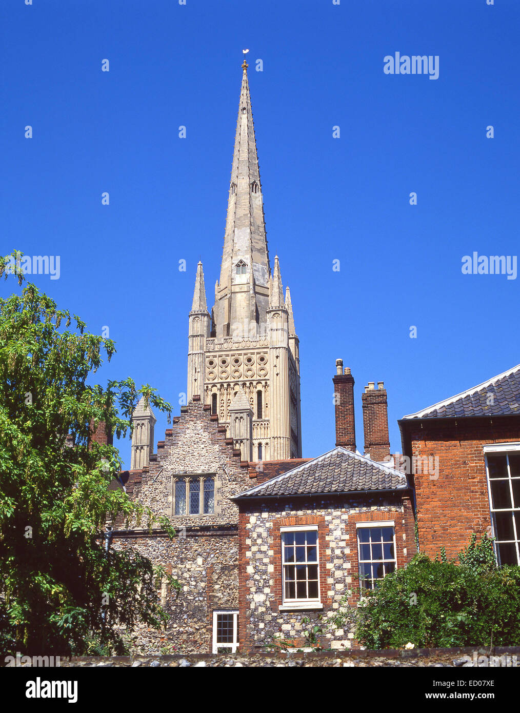 Norwich Cathedral, Norwich, Norfolk, England, United Kingdom Stock Photo