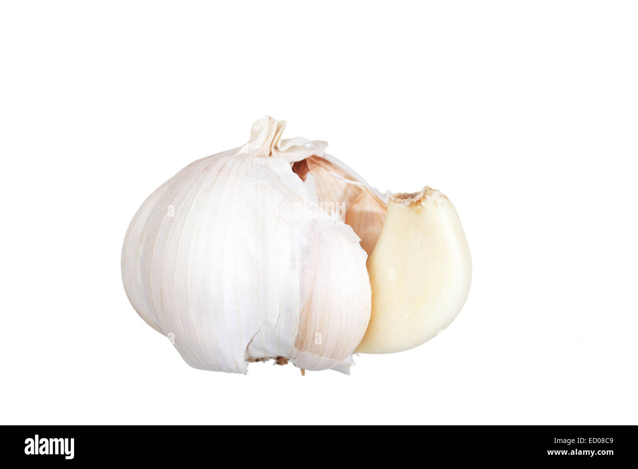 Garlic head on a white background, it is isolated Stock Photo