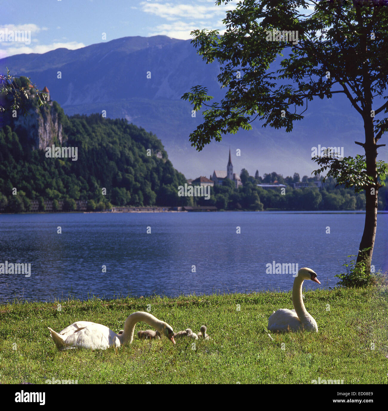 Lake Bled, The Julian Alps, Upper Carniola region, Republic of Slovenia Stock Photo