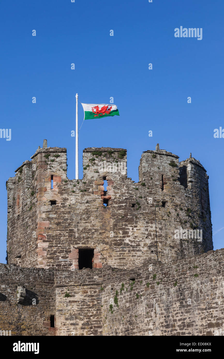 Wales, Conwy, Conwy Castle, Castle Turret and Welsh Flag Stock Photo