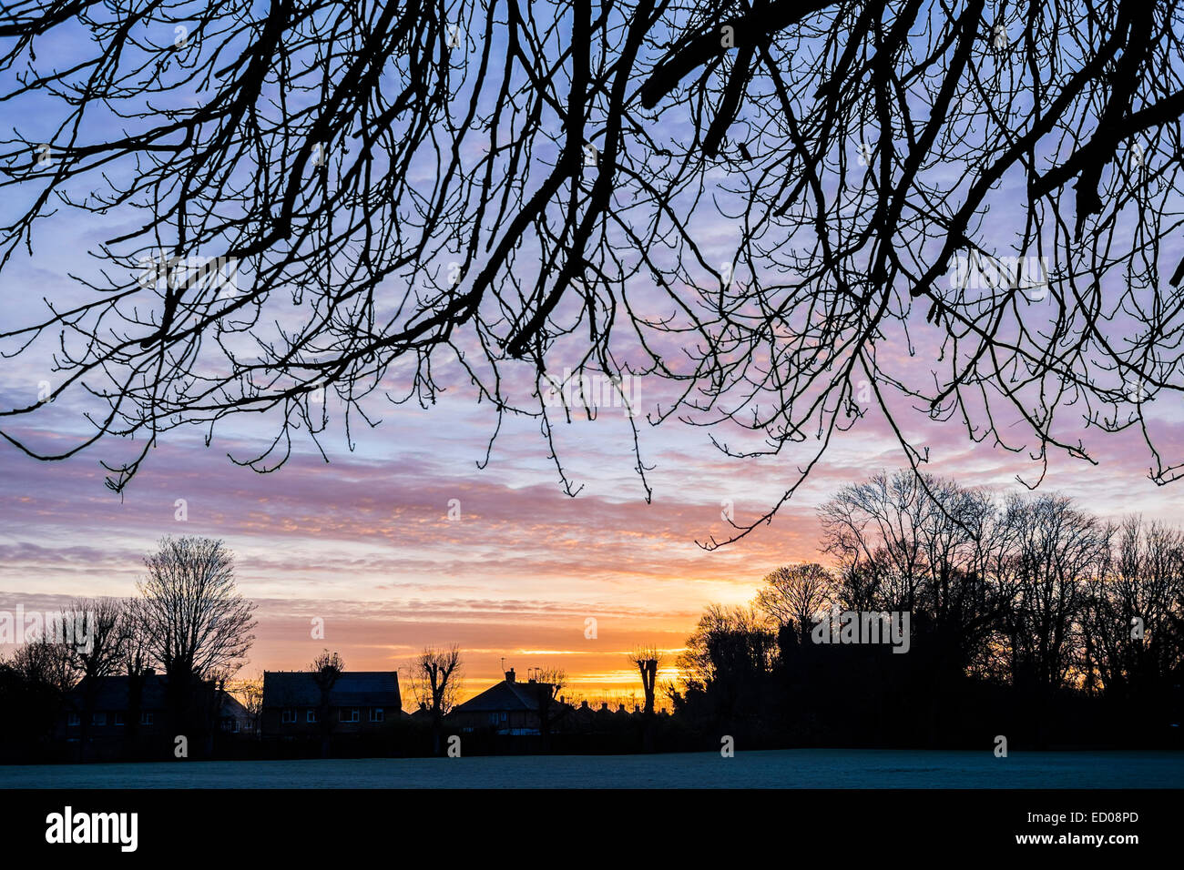 Winter sunrise over houses and trees - Watford Stock Photo