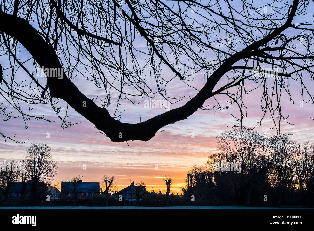 Winter sunrise over houses and trees - Watford Stock Photo