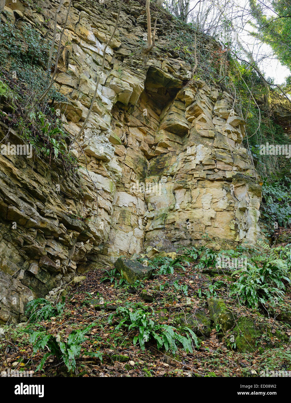 Crumbing Cotswold Limestone Rock in old Quarry Coaley Peak Stock Photo