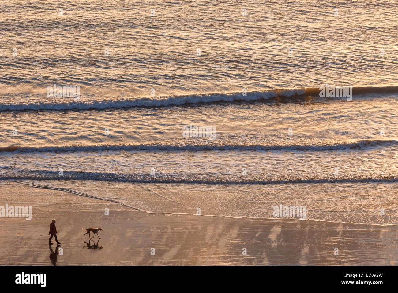 England, Yorkshire, Scarborough, Dog Walker on Scarborough Beach at