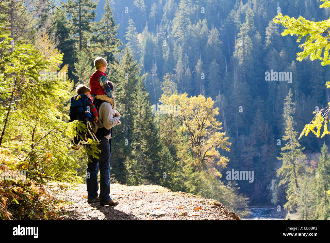 Father hiking with in the mountains with his two sons, Washington State, USA Stock Photo