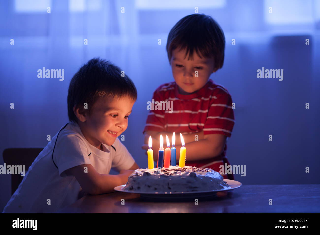 Boy about to blow out candles on his birthday cake with his brother