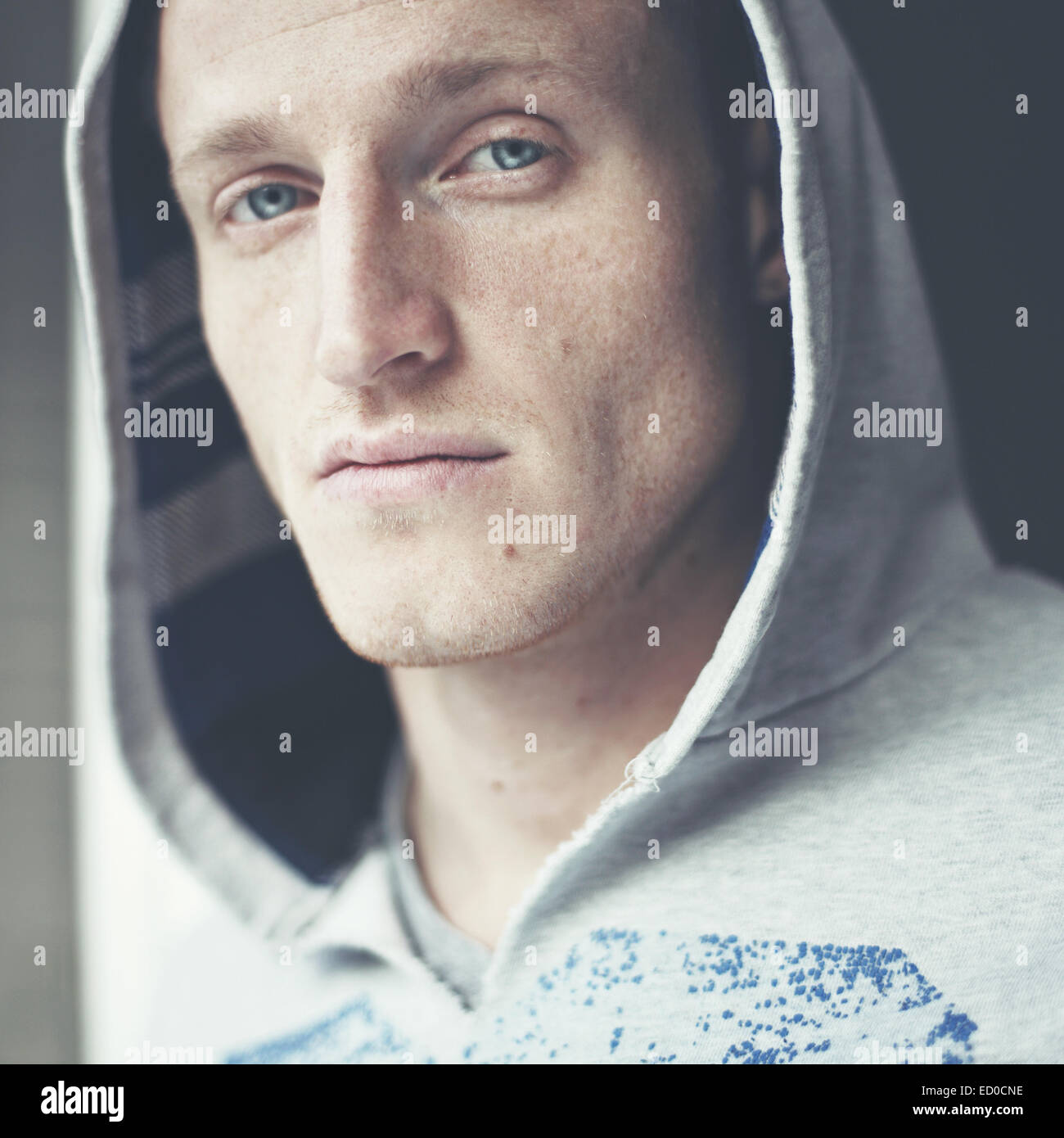 Portrait of freckled young man Stock Photo 76842010 Alamy